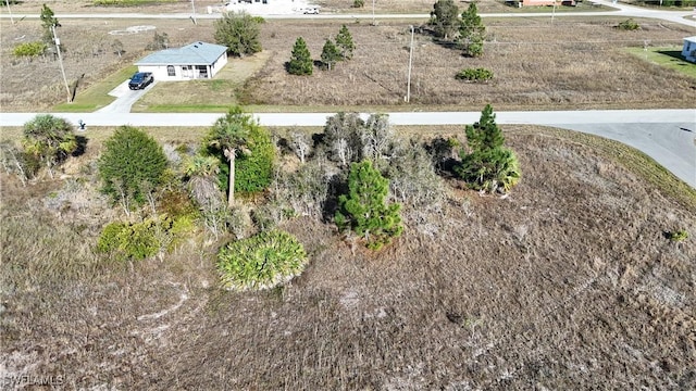 Listing photo 2 for 920 Manresa Ave S, Lehigh Acres FL 33974