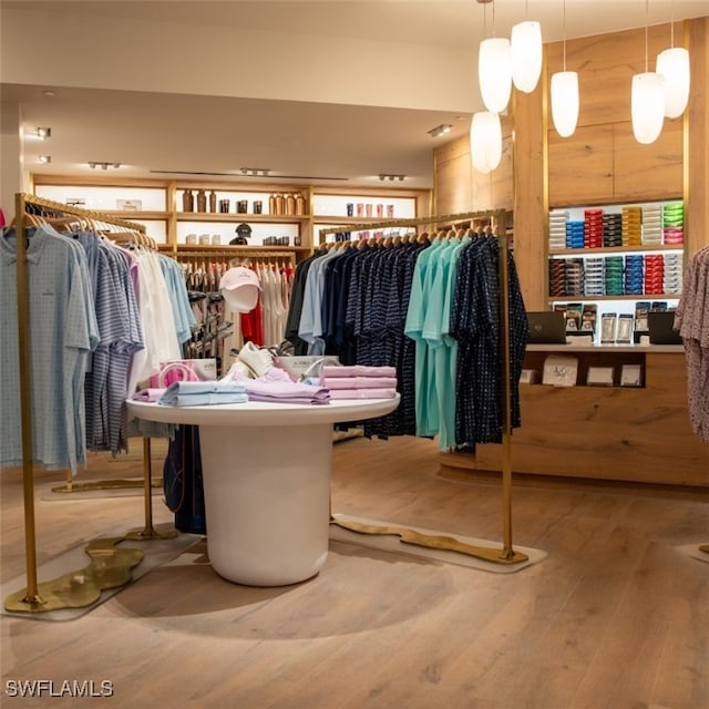 walk in closet featuring wood finished floors