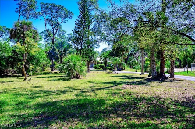 view of community featuring a yard