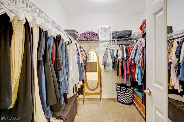 walk in closet featuring carpet floors