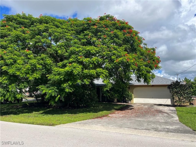 view of property hidden behind natural elements featuring a front lawn, an attached garage, driveway, and roof with shingles