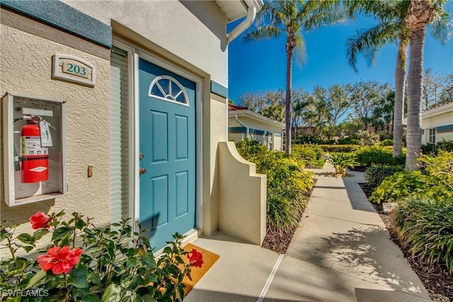 doorway to property featuring stucco siding