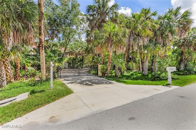 view of home's community featuring concrete driveway and a gate