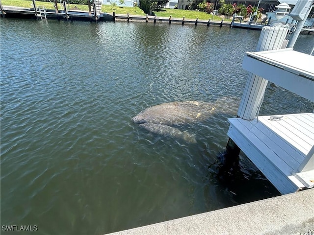 view of dock with a water view