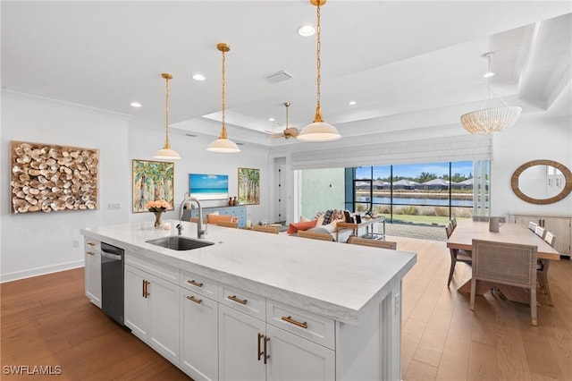 kitchen featuring a sink, a tray ceiling, stainless steel dishwasher, and hardwood / wood-style floors