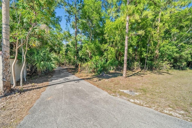 3775 27th Ave SW, Naples, FL 34117 - view of road