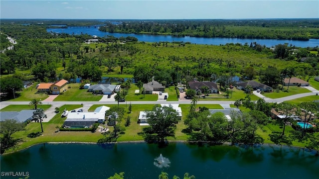 17225 Castleview Dr, North Fort Myers, FL 33917 - drone / aerial view featuring a wooded view and a water view