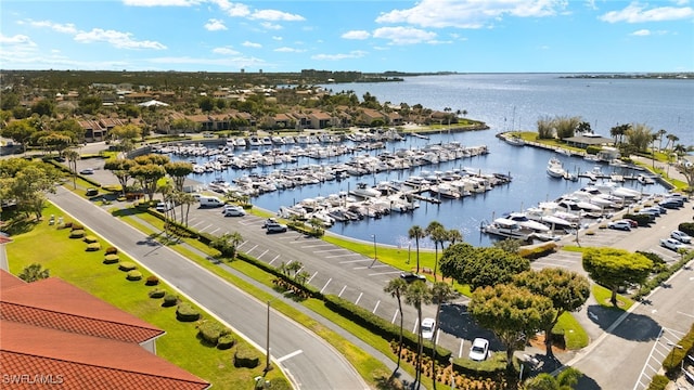 drone / aerial view with a water view