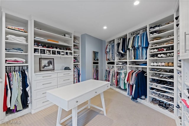 spacious closet with light carpet