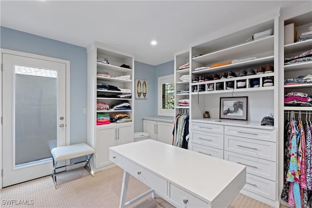 spacious closet with light carpet