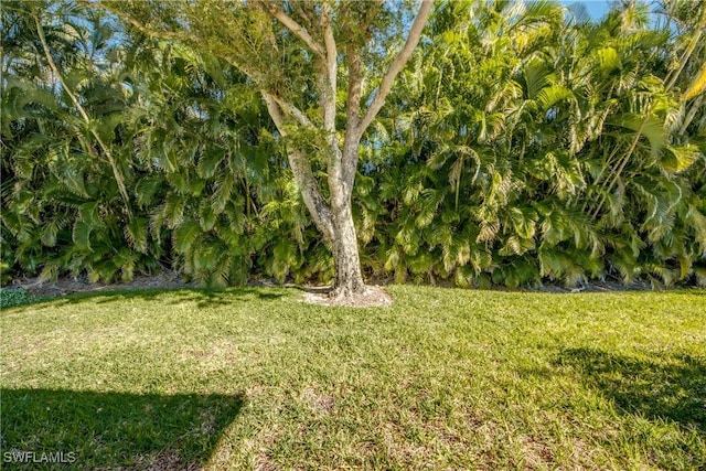 8664 Patty Berg Ct, Fort Myers, FL 33919 - view of yard