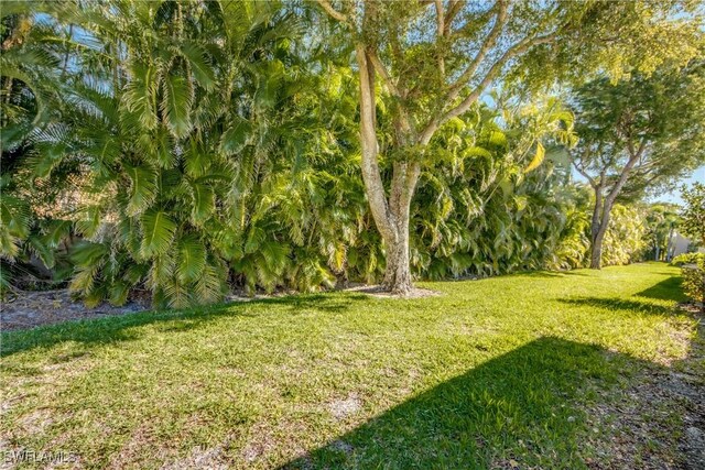 8664 Patty Berg Ct, Fort Myers, FL 33919 - view of yard