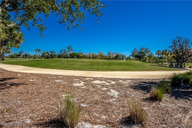 8664 Patty Berg Ct, Fort Myers, FL 33919 - surrounding community featuring a lawn