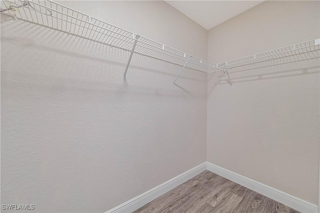 spacious closet featuring wood finished floors