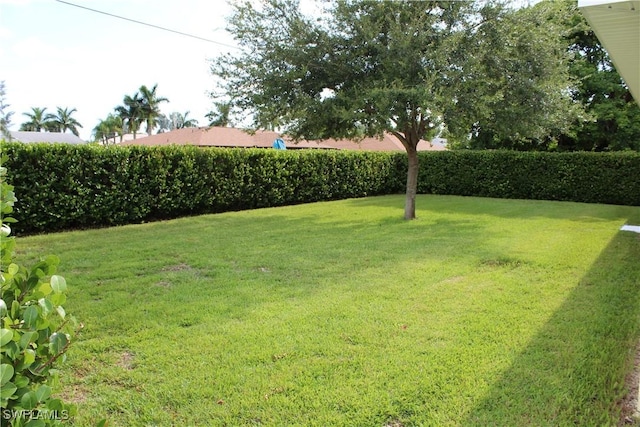 view of yard