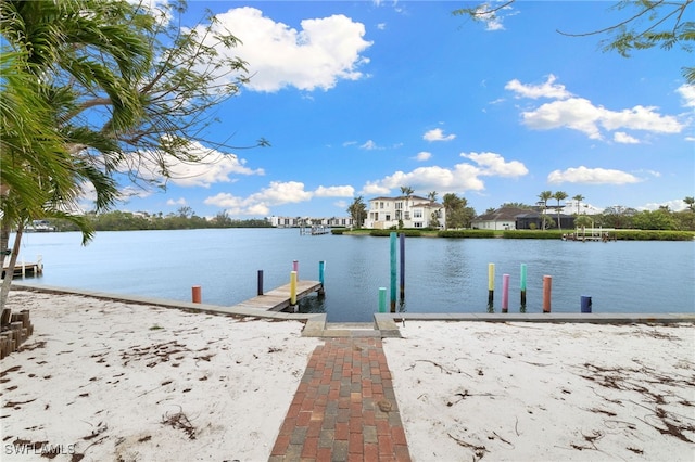 dock area with a water view