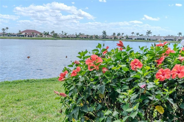 property view of water