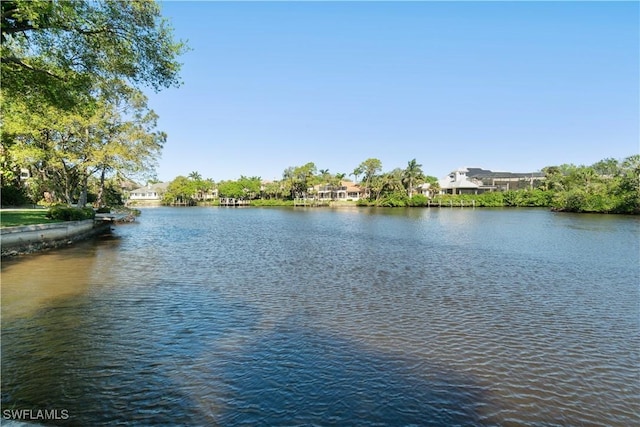 property view of water