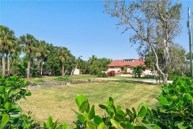 view of yard