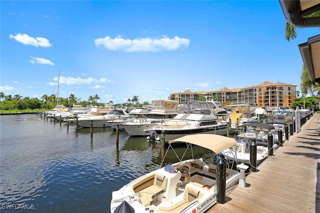 dock area featuring a water view