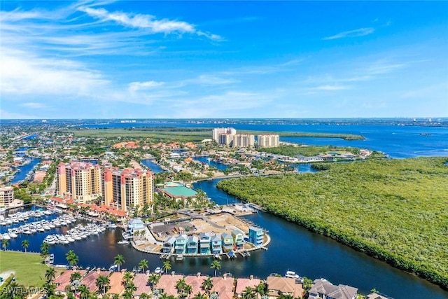 drone / aerial view featuring a city view and a water view