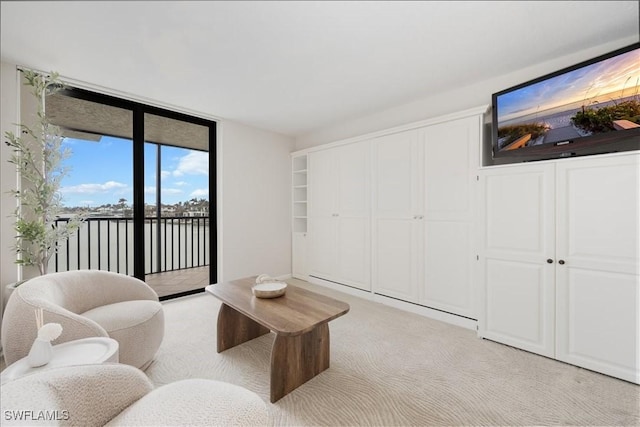 living area featuring light carpet and floor to ceiling windows