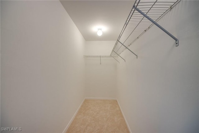 walk in closet with light colored carpet