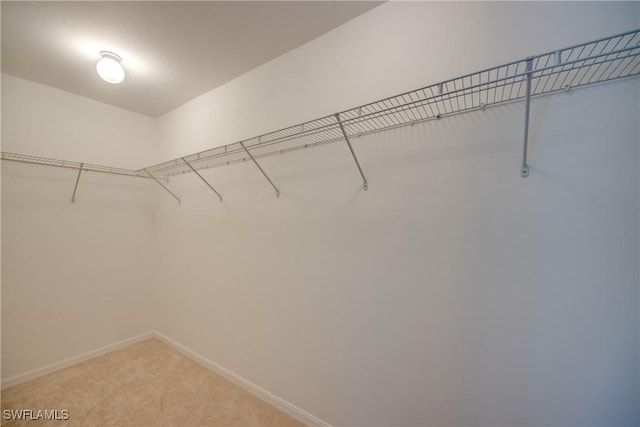 walk in closet featuring light carpet