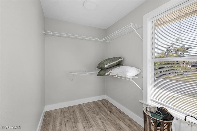 walk in closet featuring wood finished floors