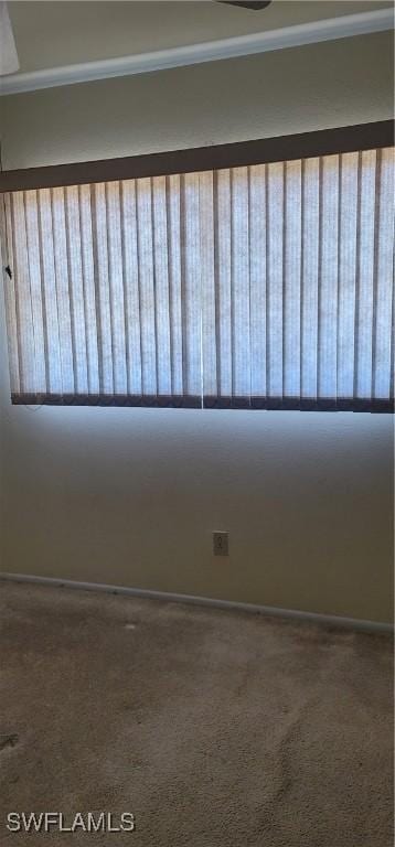 empty room with carpet flooring