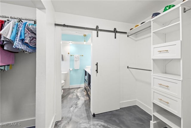 spacious closet with a barn door