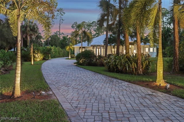 surrounding community featuring a yard and curved driveway