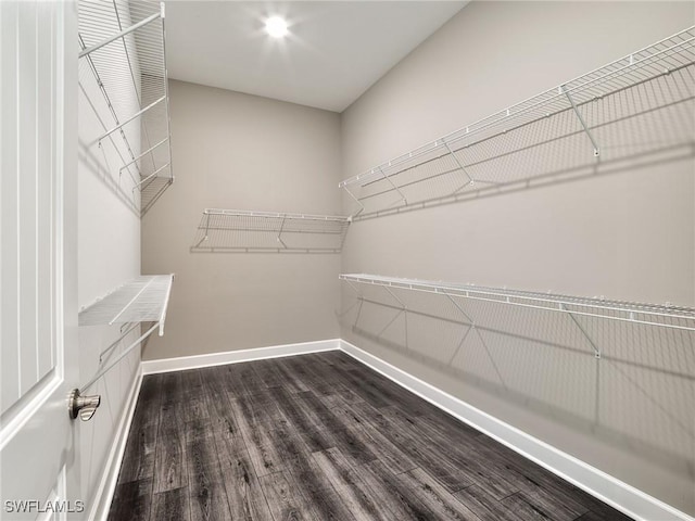 walk in closet featuring dark wood-style floors