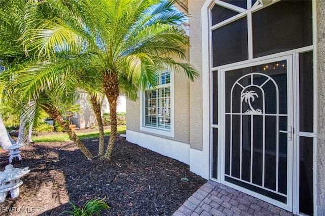 view of exterior entry featuring stucco siding