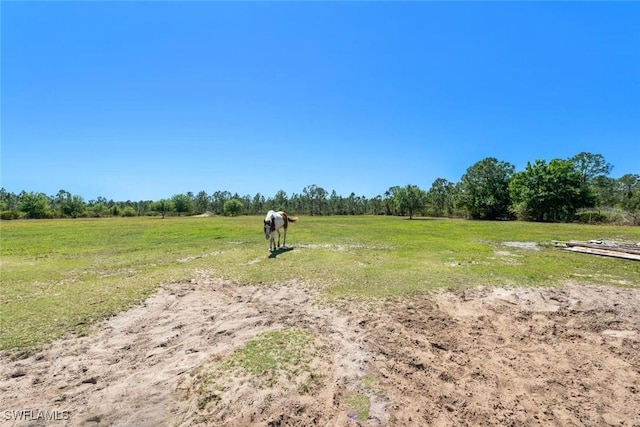 view of yard with a rural view