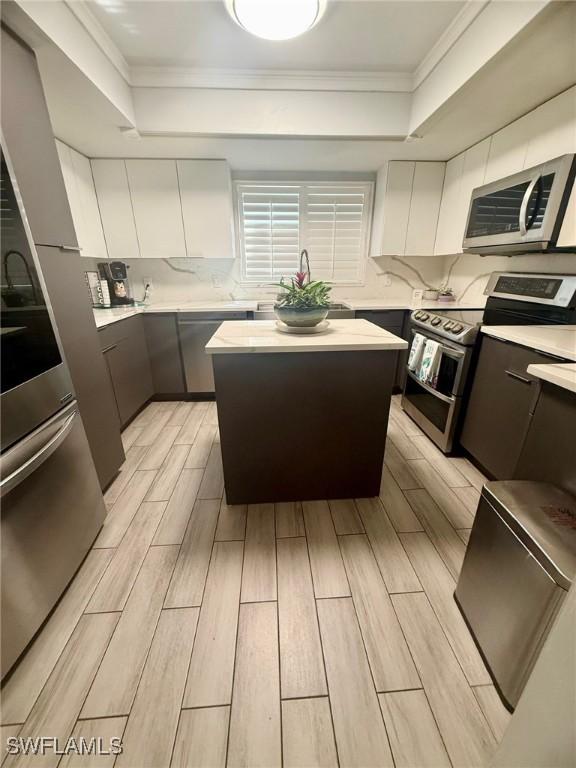 kitchen with a center island, stainless steel appliances, a raised ceiling, and wood finish floors