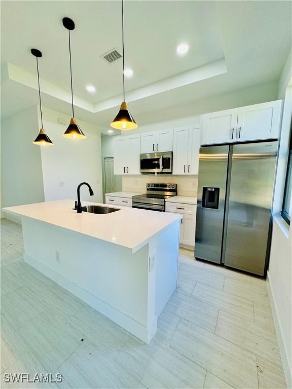 kitchen featuring visible vents, a tray ceiling, a sink, stainless steel appliances, and white cabinets