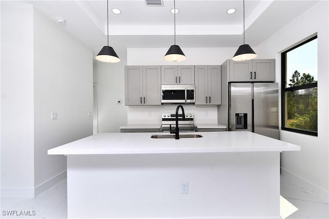 3204 69th St W, Lehigh Acres, FL 33971 - kitchen featuring gray cabinetry, a sink, appliances with stainless steel finishes, and a raised ceiling
