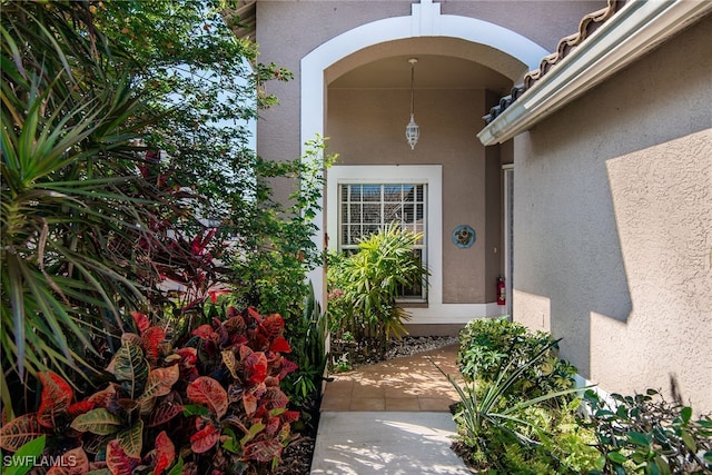 doorway to property with stucco siding