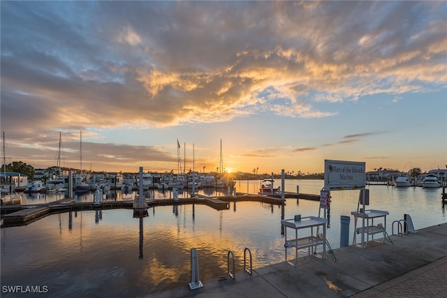 dock area with a water view