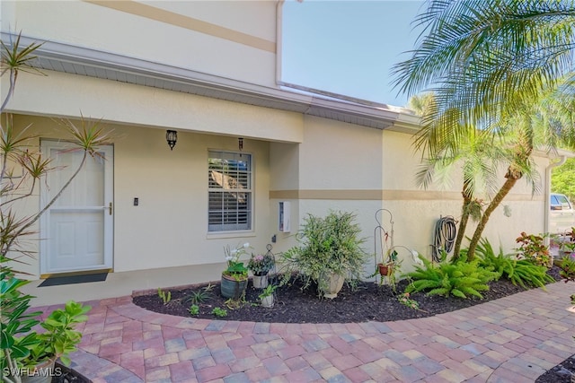 entrance to property featuring stucco siding