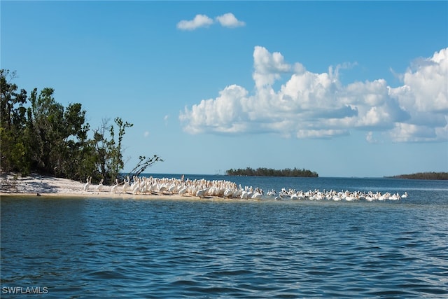 water view