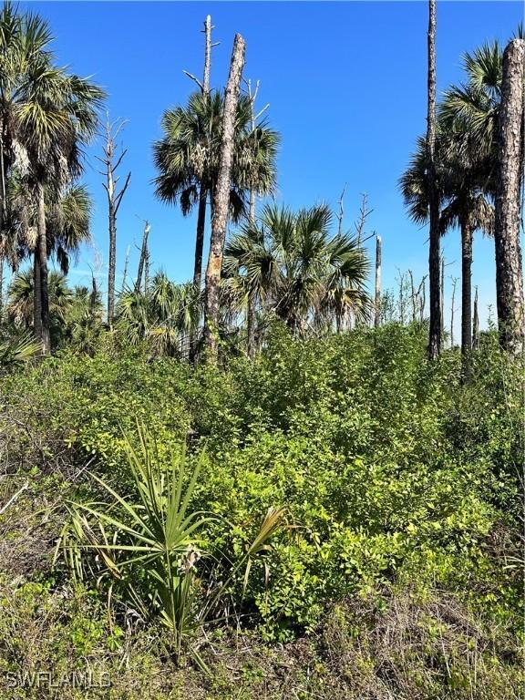 32nd Ave SE, Naples, FL 34117