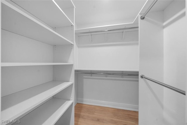 spacious closet with light wood-type flooring