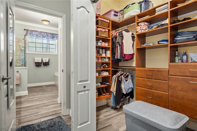 walk in closet featuring light wood-style flooring