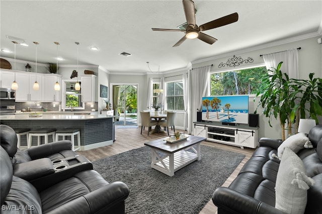 living room with visible vents, ceiling fan, crown molding, and light wood finished floors