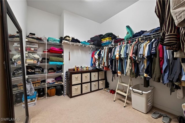 spacious closet with carpet flooring