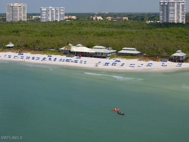 birds eye view of property featuring a water view, a forest view, and a view of the beach