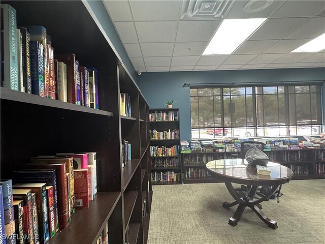 carpeted office space with a drop ceiling