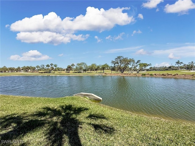 property view of water